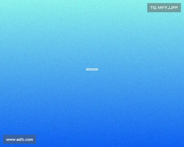 电竞职业选手合同